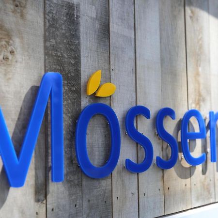 Moessems Hotel เดเนกัมป์ ภายนอก รูปภาพ